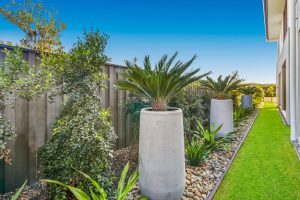 Insights landscapes Sydney landscaping modern coastal backyard