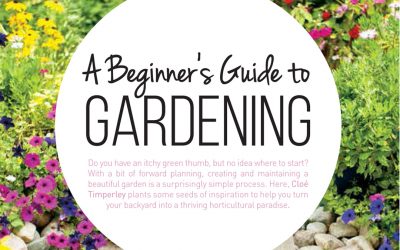 A Beginner’s Guide to Gardening